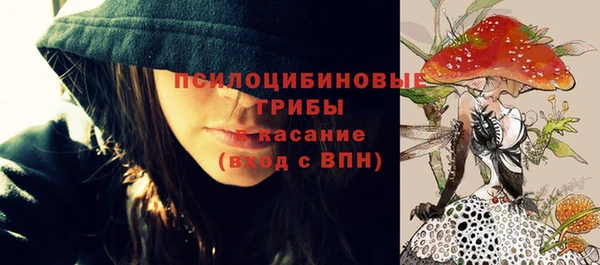 дживик Рославль