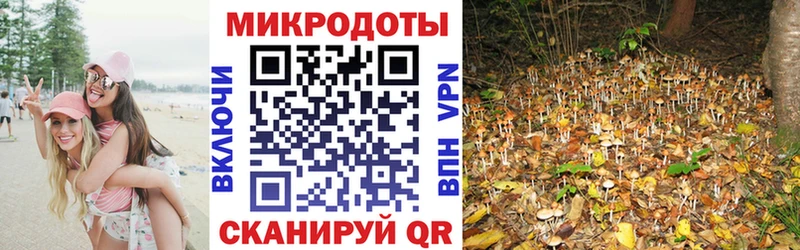 Галлюциногенные грибы прущие грибы  магазин  наркотиков  Шиханы 
